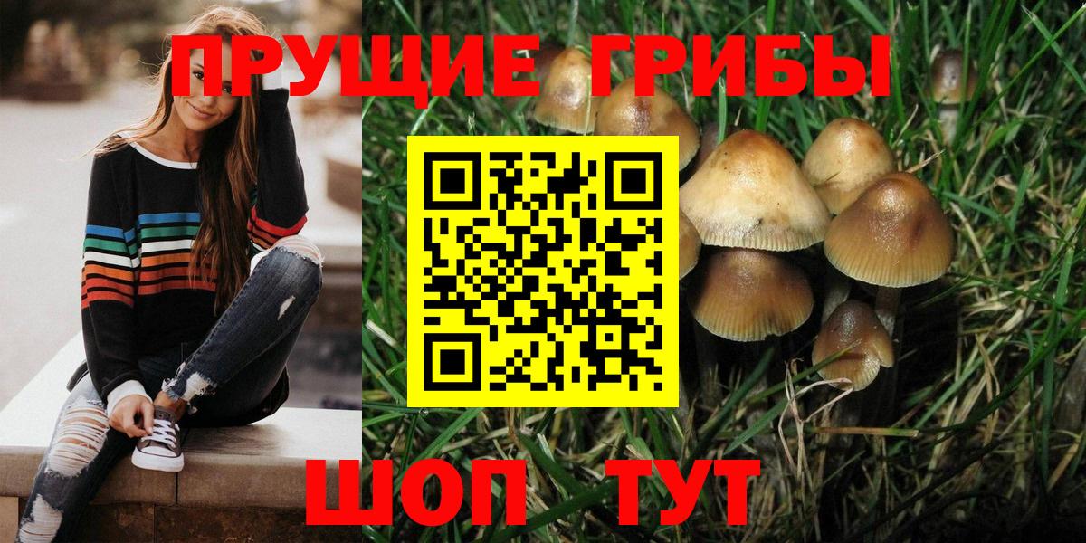 Псилоцибиновые грибы Magic Shrooms  Вход с VPN  Вологда 