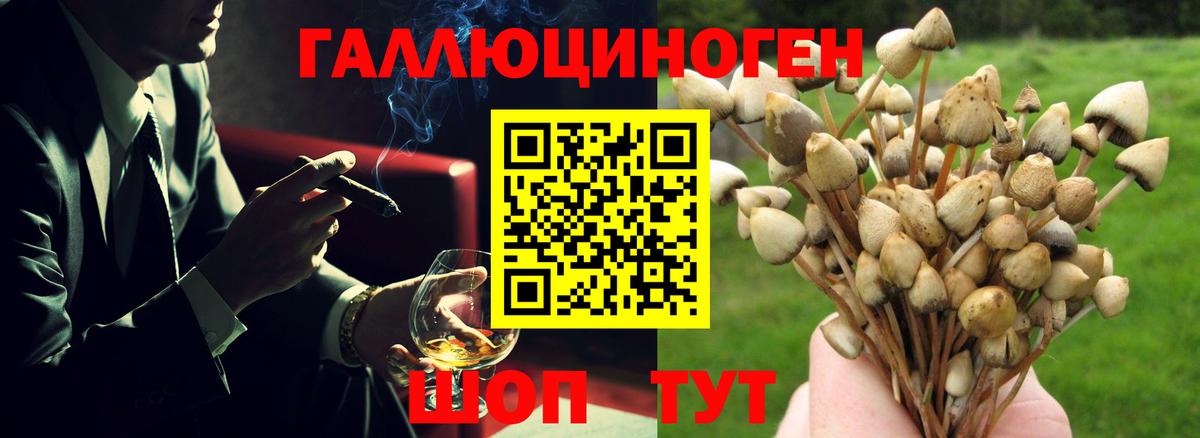 Псилоцибиновые грибы мицелий Вологда