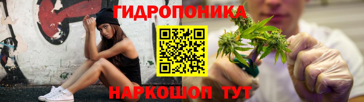 Шишки марихуана индика  Вход с VPN  Бошки марихуана тримм  Бошки Шишки Amnesia  Вологда  Каннабис SATIVA & INDICA 